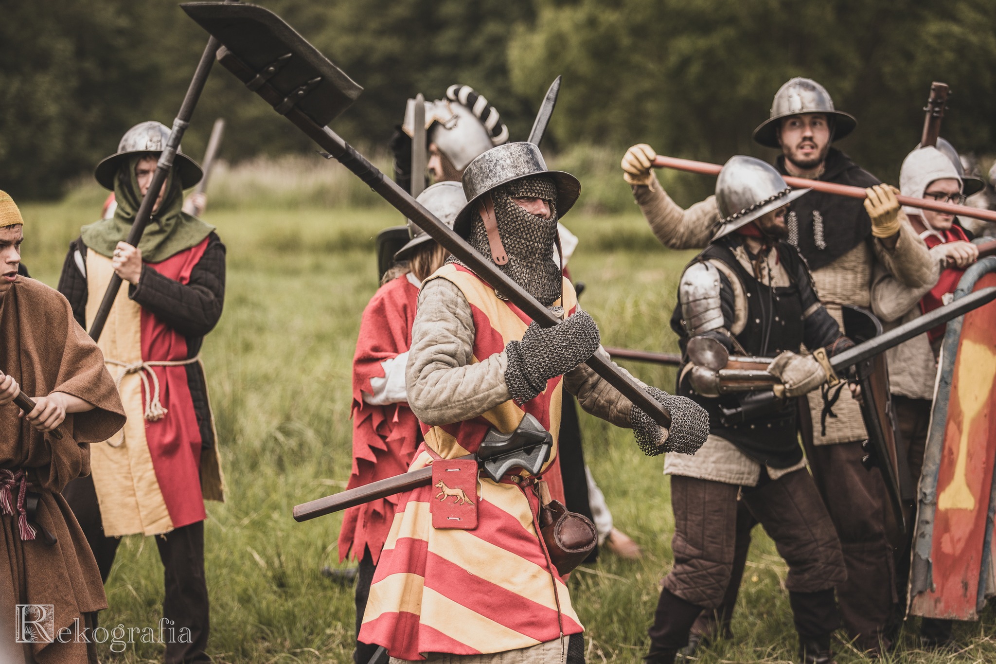 Renards de Carcassonne 