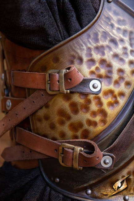 Raider Armour - Epic Dark/Rust