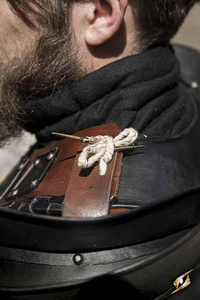 Rogue Neck and Shoulders