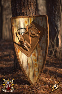 Baron's Shield - 90x55 cm