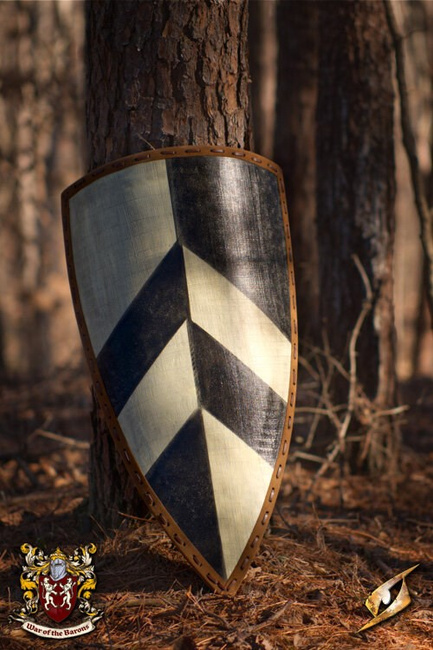 Baron's Shield - 90x55 cm