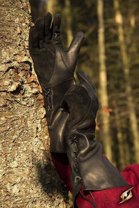 Falcon Gloves - Black