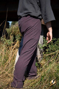 Pants Arvid - Burgundy Grey