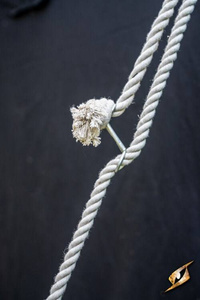 Marquee Tent - 5x8m - Epic Black/Emerald Green