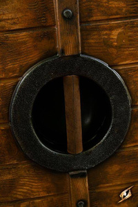 Iarla Shield - Vegvisir - 70 cm