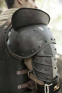 Shoulder Plate Giant Warrior - Epic Dark