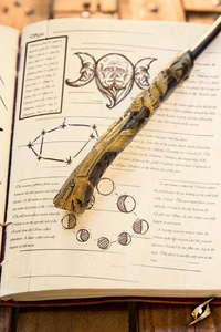 Sendivogius Wand - Black