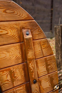 Iarla Shield - Sleipnir - 80 cm