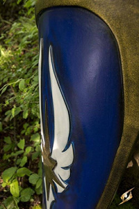 Elf Shield - Blue