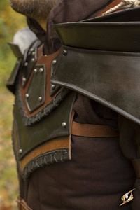 Rogue Neck and Shoulders