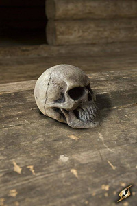 Small Skull - Bone