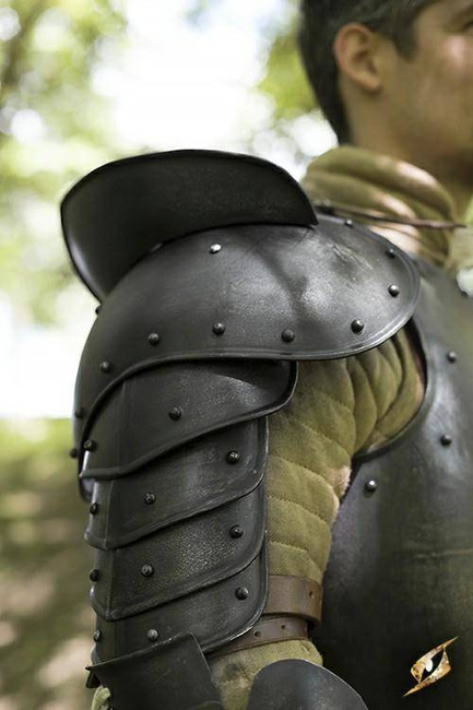 Shoulder Plate Giant Warrior - Epic Dark