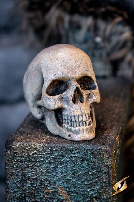 Medium Skull - Foam - Bone - 15 cm