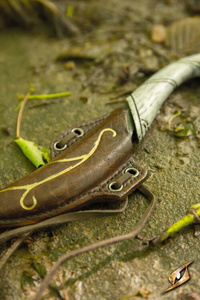 Elven Throwing Knife Holder - Left - Brown