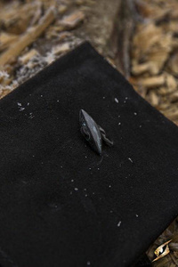 Leatherbag Thin - Black - S