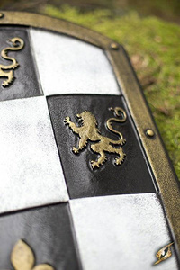 Checkered Shield - White