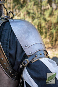 Knightly Spaulders