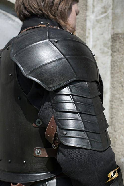 Shoulder Plates Dark Drake