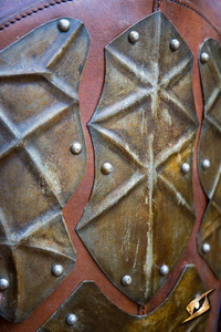 Raider Armour - Epic Dark/Rust 