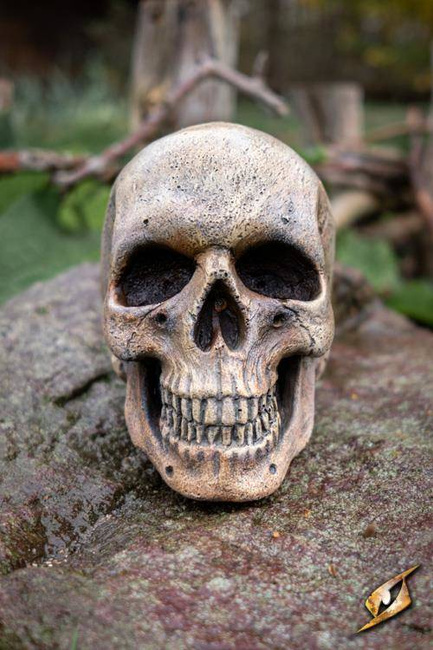 Medium Skull - Foam - Bone - 15 cm