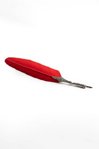 Feather Pen Elegant - Black - pióro z atramentem