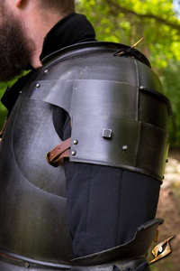 Milanese Pauldrons - Epic Dark