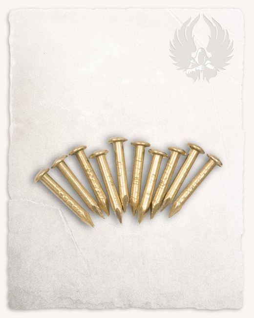 Tinne Brass Pins 8 PCS - gwoździe