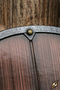 Viking Shield