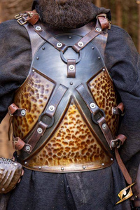 Raider Armour - Epic Dark/Rust