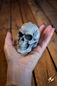 Small Skull - Bone
