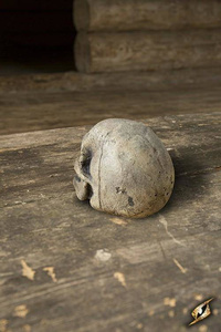 Small Skull - Bone