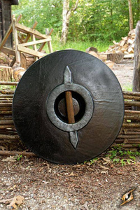 Drang Shield - Green/Wood - 50 cm