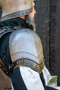 Knightly Spaulders