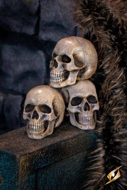 Medium Skull - Foam - Bone - 15 cm