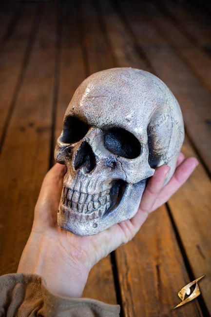 Medium Skull - Foam - Bone - 15 cm