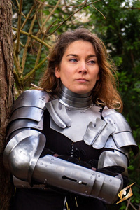 Landsknecht Vambraces - Steel - ręce landsknechta