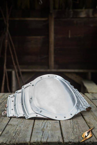 Gut Plate - Polished Steel