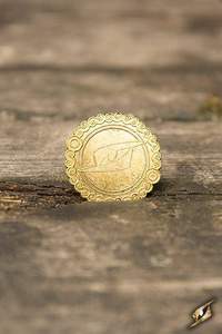 Coins - Gold Dragon - 200 Pieces