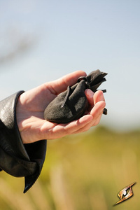 Simple coin pouch - Black - skórzana sakiewka