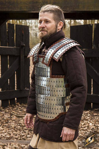 Viking Armour - Polished Steel - M/L