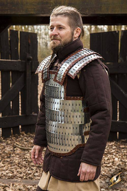Viking Armour - Polished Steel - M/L