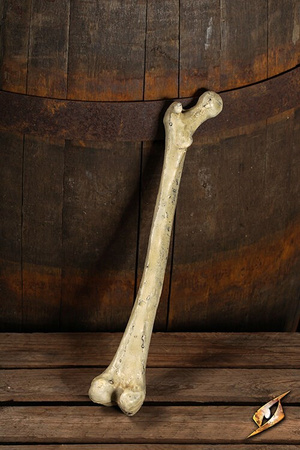  Thigh bone 40 cm - bezpieczna kość